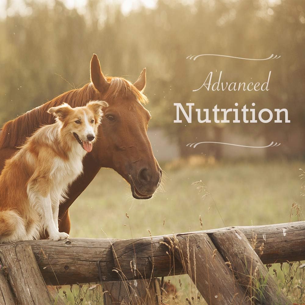 Animal Health Solutions - Hen Boost Probiotics, Help Boost Immunity & Hydration in Full Grown Chickens (8 oz): Garden & Outdoor