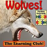 Wolves! Learn About Wolves And Learn To Read - The Learning Club! (45+ Photos of Wolves)