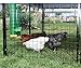 Rugged Ranch High End Hen Chicken Feeder and Waterer