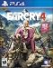Far Cry 4 - PlayStation 4 primary