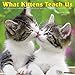 What Kittens Teach Us 2018 Calendar