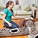Easyology Premium Cat Tunnel - Interactive Cat Tube Toy with Crinkle Sound - Best Cat Tunnels for Indoor Cats - Fun Kitty Tunnel for Hiding - Collapsible