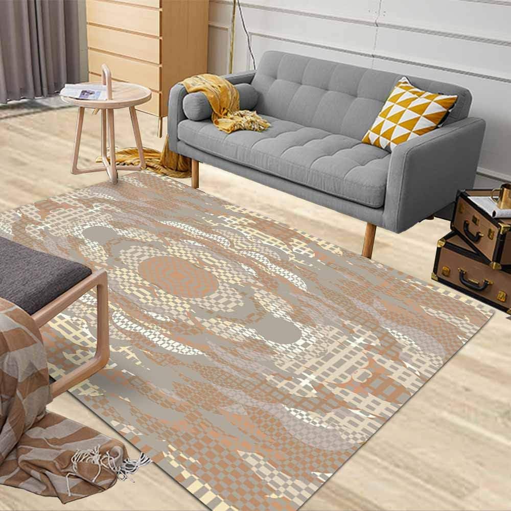 3X5 Area Rug, Dethel Soft Area Rug Colorful Area Rug Door Area Rugs Modern Quirky