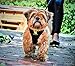 EcoBark Dog Harness - Eco-Friendly Max Comfort Harnesses - Luxurious Soft Mesh Halter - Over The Head Harness Vest- No Pull and No Choke for Puppy, Toy Breeds & Small Dogs (Small, Black)