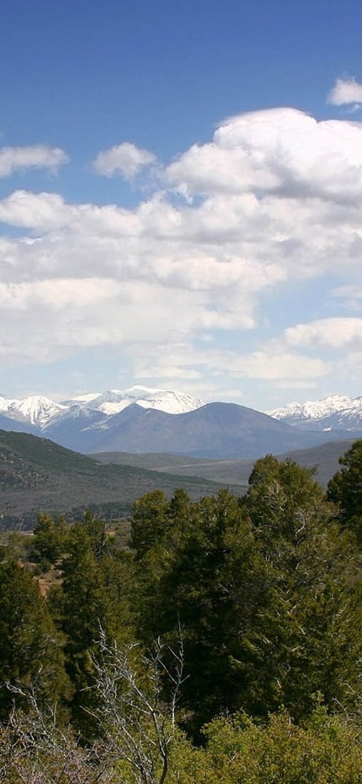 PeelitStickit, Beautiful Nature Wall Murals, ID-1166, vinyl