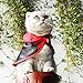 Legendog Pet Cloak Costumes Dog Funny Clothes Cute Cosplay Vampire Cloak Cape for Small Dogs Cats Halloween Clothing