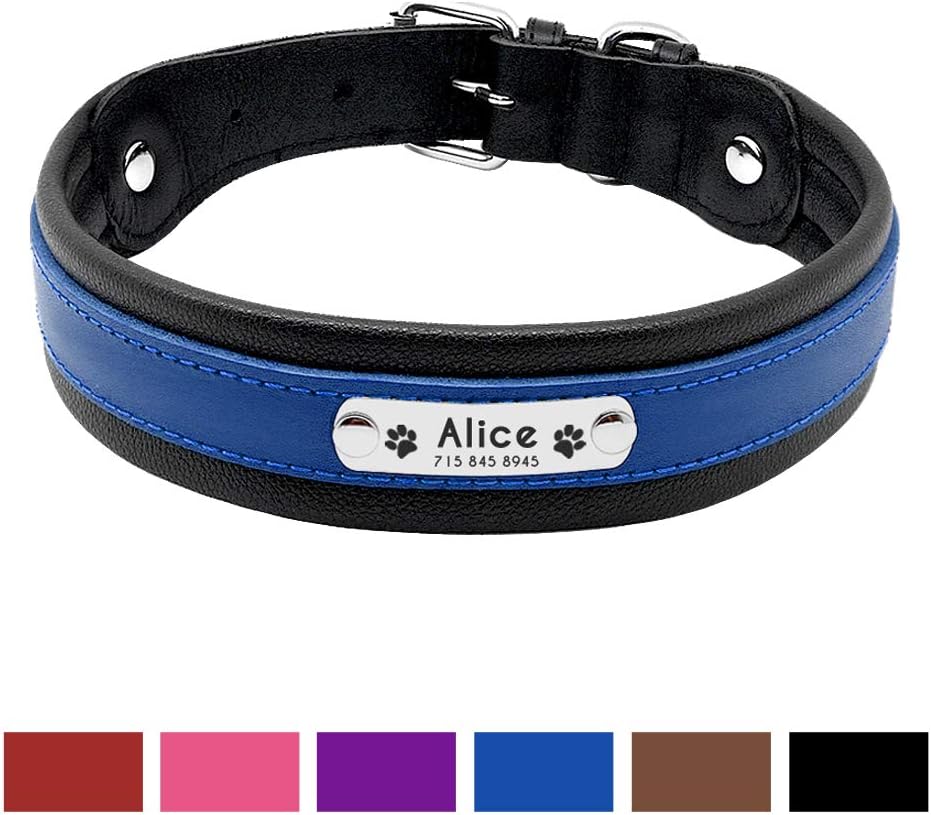 PET ARTIST Studded Leather Dog Collar with Name Plate - Personalized Leather Dog Collars for Large Dogs - Free Engraved with ID Tags, Black/Blue/Brown/Hot Pink/Purple/Red,M/L/XL