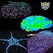 Glow in the Dark Pebbles Glowing Rocks Solar Stones【200 PCS】for Fairy Garden Landscape Walkway Path Lawn Yard Flower Beds Potted Plant Aquarium Fish Tank Gravel Outdoor Decoration - ( Blue & Green)