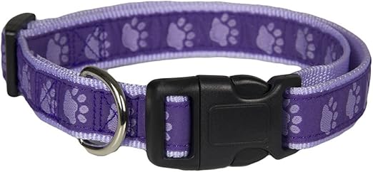 paws dog collars