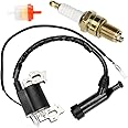 FVRITO Ignition Coil Pack Spark Plug Kit for Predator 212cc 5.5 6.5 HP 69730 69727 196cc Coleman Ct200u Baja MB200 Motovox Hummerhead Gx160 Gx200 Generator Mini Bike Go Kart Pressure Washer Lawn Mower