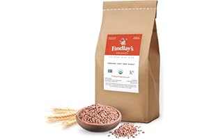 Soft Red Wheat Berries Organically Grown in Michigan, Farmer Direct, USDA Organic Certified, Non-GMO, 25 Lbs Total // Findlay's Organics