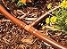 One Stop Outdoor USA Made - 25-Pack - Drip Irrigation Universal Barbed Coupling Fitting, Fits of 17mm.600