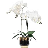 CXGS Orchids Artificial Flowers Real Touch Fake Flowers in Ceramic Pot 20" White Faux Orchid Plant Lifelike Silk Phalaenopsis for Centerpiece Hotel Home Indoor Decor