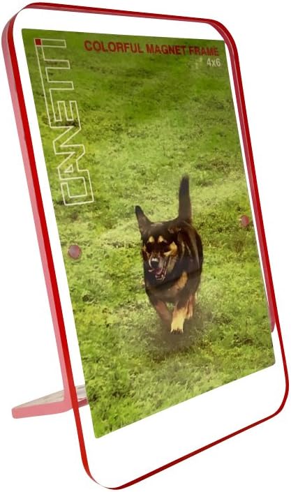 Canetti Colorful Magnet Picture Frames - Clear Acrylic Frame