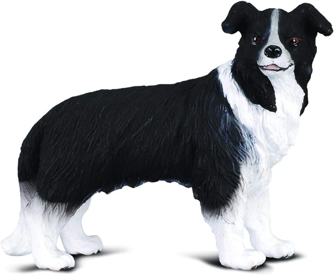 CollectA Border Collie Amazon.co.uk Toys & Games CollectA Border Collie Amazon.co.uk Toys & Games