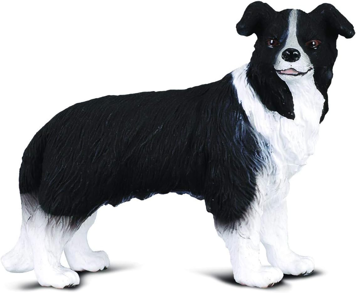 amazon border collie