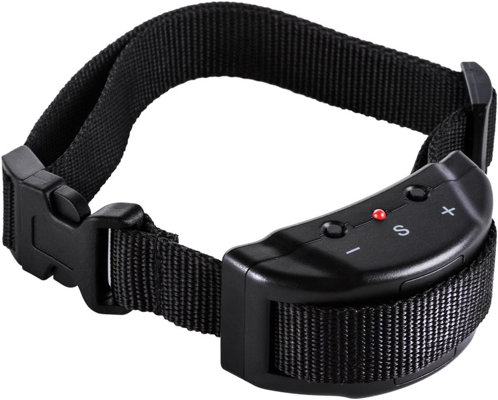 scentless cat litter