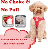 Anlitent Soft Mesh No Pull Cat Harness and Lead Set Red X-Small view 6