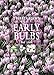 Early Bulbs (Plantfinder's Guides) by Rod Leeds