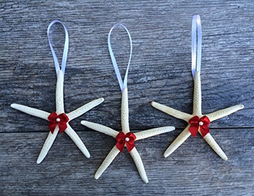 615BW%2BPofuL 615BW%2BPofuL