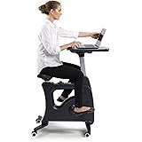 FLEXISPOT Exercise Bike Stationary Bikes for Home Desk Bike with Desktop Exercise Equipment for Seniors