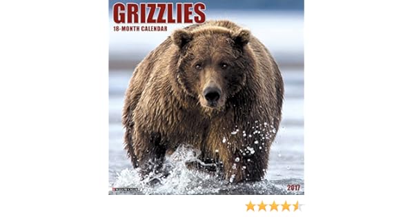 Grizzlies 2017 Wall Calendar Willow Creek Press - 