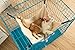 FADUOALI Pet Cage Hammock,Easy to Attach to a Cage Cat Hammock,Ferret,Rat,Rabbit,Small Dogs or Other Pet (Original Version)