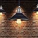 Ecopower Industrial Edison Mini Metal Pendant Lighting 1 Light