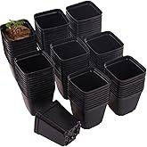 Tulpeed 200 Packs Square Nursery Pots for Plants 2.2 Inch Succulent Plant Pots Set Plastic Seedling Starting Pots with Drainage Holes Nursery Pots Variety Pack Flower pots Planter Seed Starter, Black