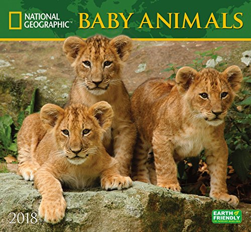 National geographic baby animals 2018 wall calendar