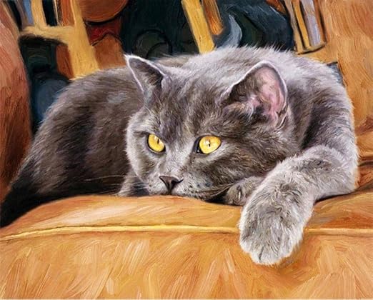 Amazon Co Jp 5dダイヤモンド絵画 大人と子供のための絵画キット 家の壁の装飾のためのかわいいブリティッシュショートヘアラウンドフルドリル刺繡クロスステッチアートクラフト40x50cm ホーム キッチン Amazon Co Jp 5dダイヤモンド絵画 大人と子供のための絵画キット 家の壁の装飾のためのかわいいブリティッシュショートヘアラウンドフルドリル刺繡クロスステッチアートクラフト40x50cm ホーム キッチン