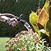 Bon-Aire UFHN1 PowerNozzle Hose Nozzle