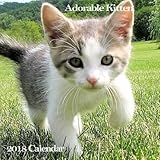 Adorable Kitten 2018 Calendar: Smile 2018 Monthly