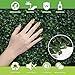 Ranka Lasting Greenery Artificial Boxwood Panels, 40
