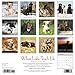 What Labs Teach Us 2019 Wall Calendar (Dog Breed Calendar)