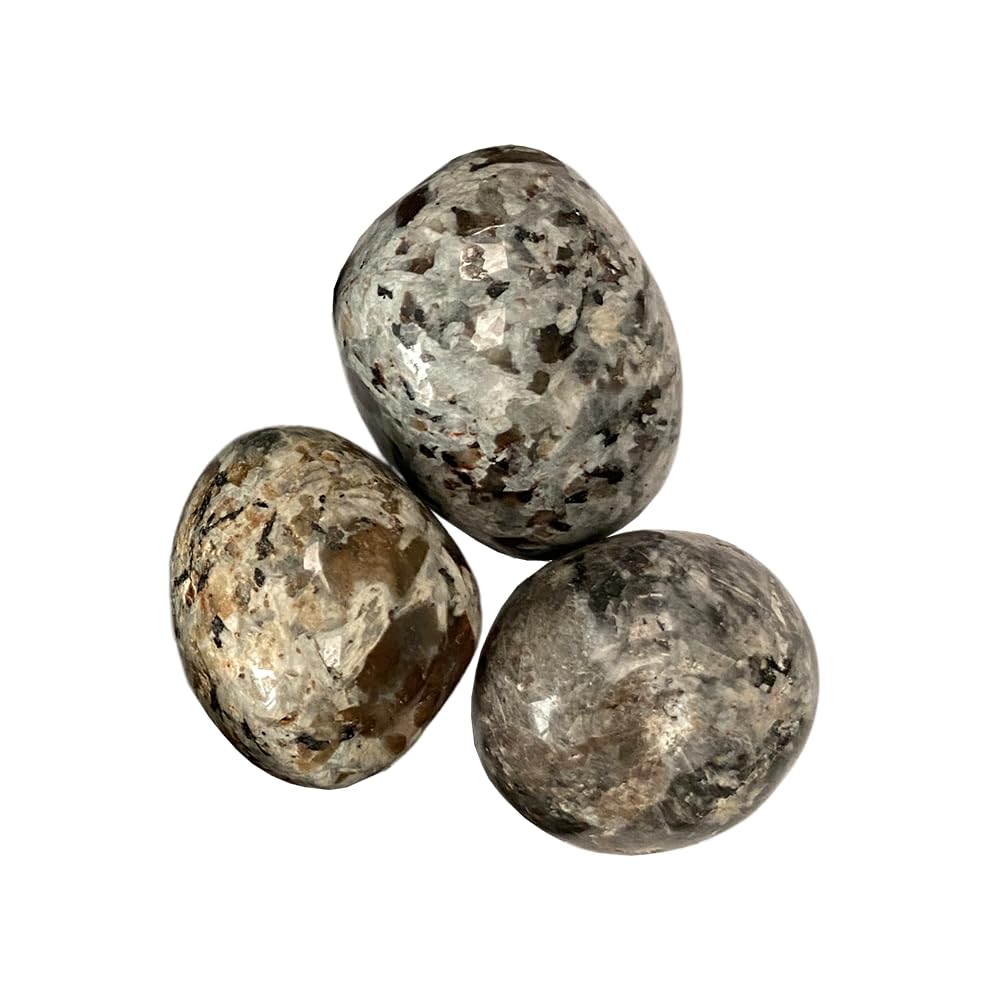 VIE Tumbled Crystals, Pack of 6, Yooperlite