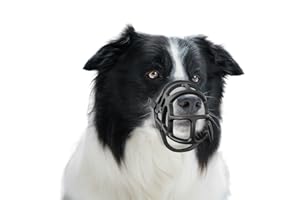 OKKIC Basket Muzzle Allows Panting Drinking - Anti Biting Chewing, Sturdy Lightweight, Suitable for Grooming Trimming Training, Black, Size 3