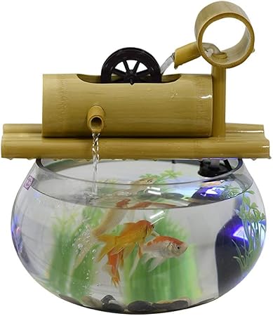 cool small fish tank