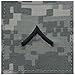 Authentic Military Rank Insignia US Made (Private - ACU)