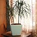 Window Garden Aquaphoric Self Watering Planter (11”) + Fiber Soil = Foolproof Indoor Home Garden. Modern Decorative Planter Pot for House Plants, Flowers, Herbs, Vegetables, Tropical. Easy
