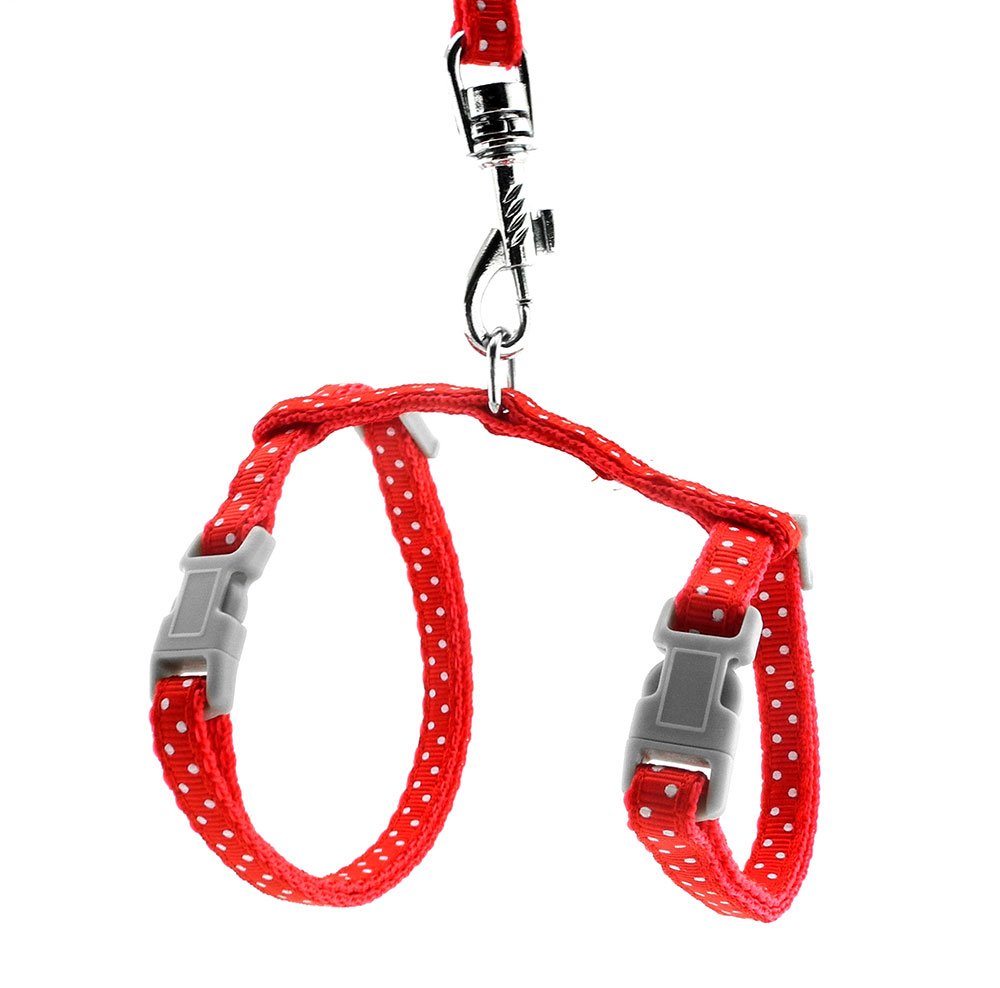 SMALLLEE_LUCKY_STORE Pet Cat Harness and Lead Leash Set Polka Dots Collar Chest Strap Adjustable Escape Proof Walking Training for Kitten Puppy Rabbit,Red — image 1