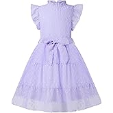 BENO TIGER Girls Ruffle Dress Flutter Sleeveless Swiss Dot A-Line Sundress Flowy Pleated Dress for 5-13Y