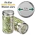 6 Pack Sprouting Lids for Wide Mouth Mason Jars Canning Jars,304 Stainless Steel Sprouting Jar Lid Kit Sprout Generator Set to Grow Your Own Organic Sprouts, 2.45Dollar/PCS (Jar not Included)