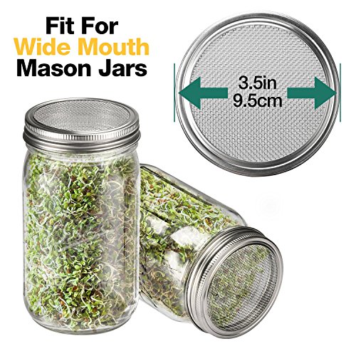 6 Pack Sprouting Lids for Wide Mouth Mason Jars Canning Jars,304 Stainless Steel Sprouting Jar Lid Kit Sprout Generator… 2 6 Pack Sprouting Lids for Wide Mouth Mason Jars Canning Jars,304 Stainless Steel Sprouting Jar Lid Kit Sprout Generator… - Image 3