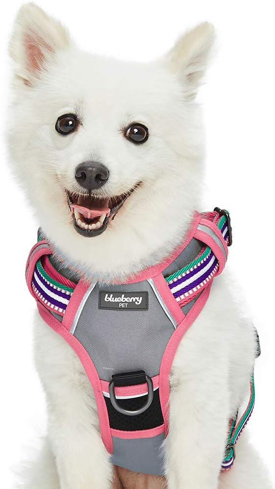 Best dos car seat belt