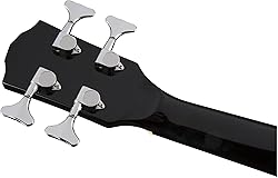 Fender Acoustic Bass Guitar 4-String with Fishman