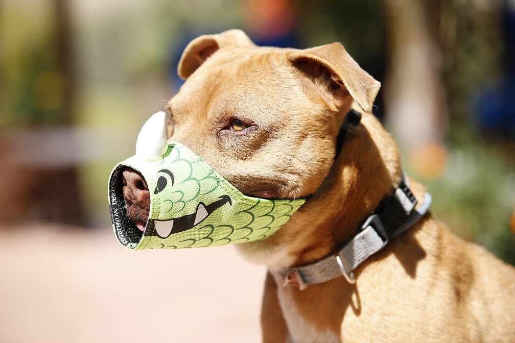 cesar millan dog muzzle