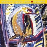 Antônio Carlos Jobim Album: «Passarim» (Front side)