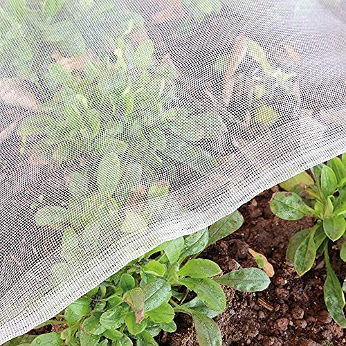 Garden Insect Netting Fine Mesh: 3x5m Vegetable Protection Net Butterfly Netting for Plant Fruit Carrot fly Crop Protect Anti Bug Pest Silver