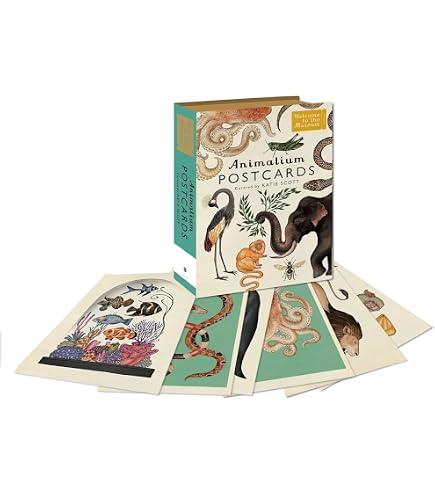 Animalium Postcards (Welcome To The Museum): Katie Scott